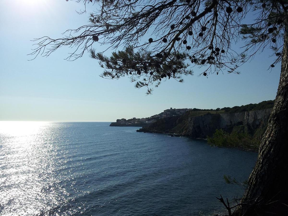L' Escala Riells De Mar A6 아파트 외부 사진